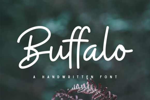 Buffalo: A Handwritten Font with Genuine Character