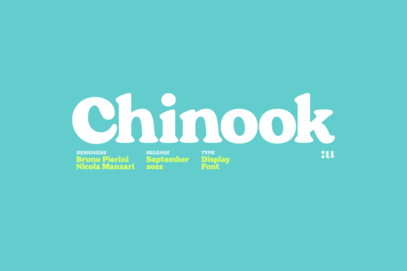 Chinook: A Chunky Serif Font for Modern Branding